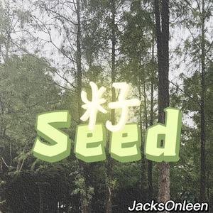 籽（Seed）