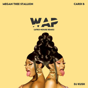 WAP (Afro-House Remix)