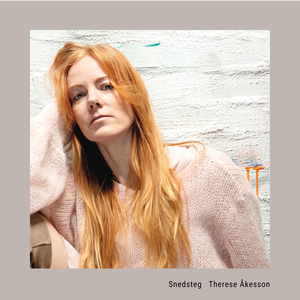 Snedsteg (PAL Version)