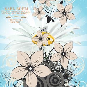 Symphony, No. 5, in C Minor, Op. 67: 2. Andante Con Moto