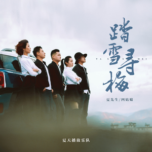 踏雪寻梅 (DJ版)