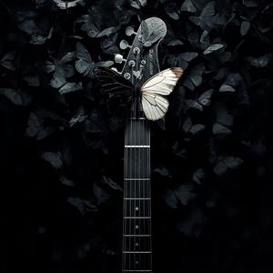 Crawl Beneath the Soil