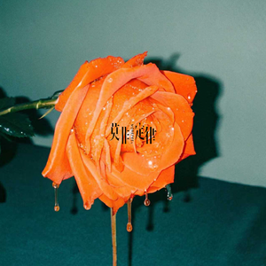 今夜茉莉开 (Jasmine Season)