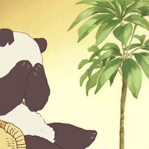 胖胖的忧伤（Cover 薛之谦）