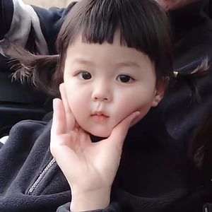 风的歌