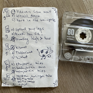 Sauli Salminen (Hanurinsoittajan Poika)