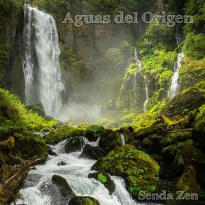 Aves del Estanque