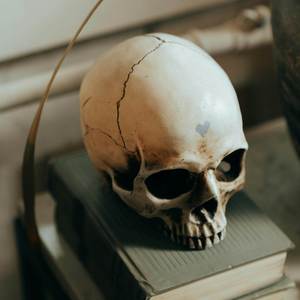 Get up in My Zone iPhone Free Style