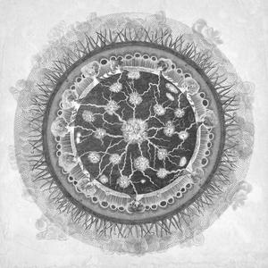 La Procesión De La Noche Solar