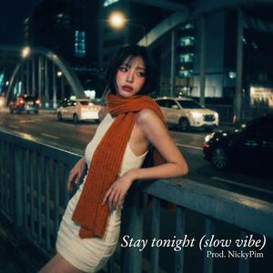 Stay tonight อยู่กับฉันคืนนี้ (Slow Vibe Version)