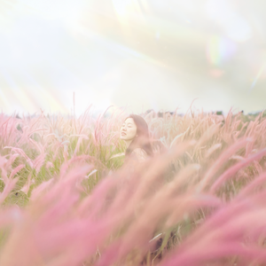 다시 햇살의 추억