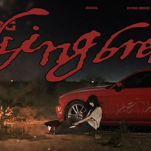 [AI COVER] [MV] 재달 (Jaedal) - dying breed