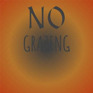 If I Ain't Gonna Get Married