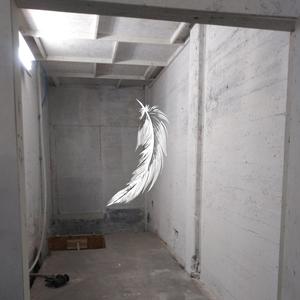 231228 Falling Feather