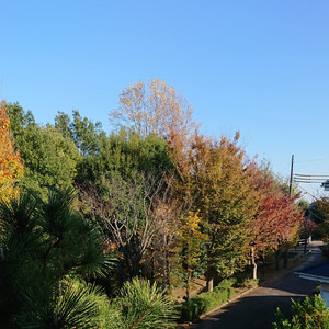 忘れんぼ -穏やかで気ままな日常-
