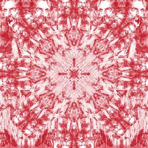 Matorral (Version 2008)