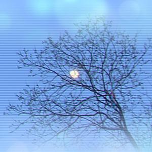 Game Called Love (feat. everestdidthis)