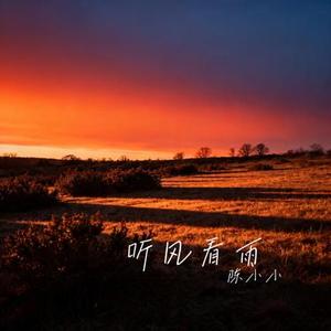听风看雨 (Cover 向思思)