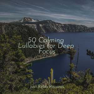 Echoes of the Desert's Melody