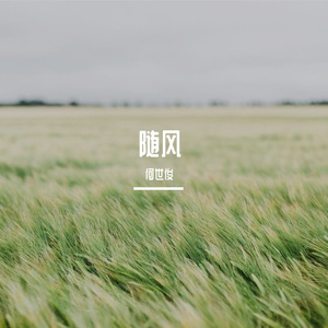 随风
