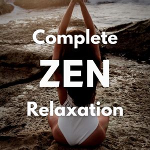 Implications of the Drake Equation