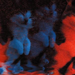 Walczę z niedźwiedziem