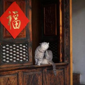 怀着毕业的心情