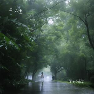 第七个雨季