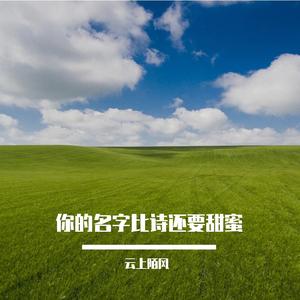 誓言如风不留痕迹