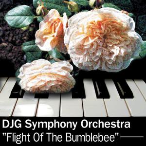 Flight Of The Bumblebee