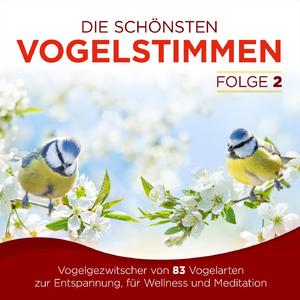 Wattenmeer (Austernfischer, Alpenstrandläufer, Bekassine, Brachvogel, Flussregenpfeifer, Goldregenpfeifer, Grünschenkel, Ringelgans, Sanderling, Silbermöve, Uferschnepfe)