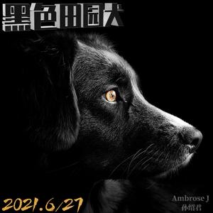 黑色田园犬（prod by Jawlan）