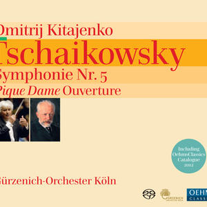 Symphony No. 5 in E Minor, Op. 64:I. Andante - Allegro con anima