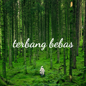 Terbang Bebas