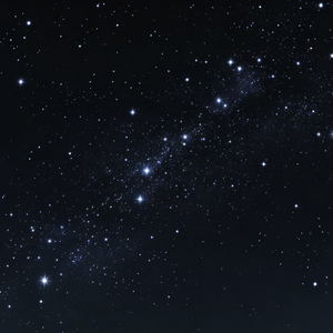 执着才是痛的开始