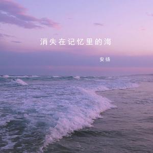消失在记忆里的海（纯享版）
