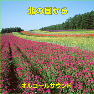 北の国から ～ダイヤモンド・ダスト～ （オルゴール）