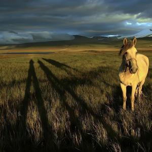 Free Lucky 吉他独奏版