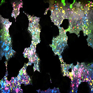 機械的実験音楽