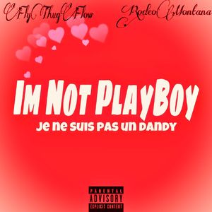 我不是花花公子