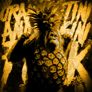 Oranggutini Anantasini Funk