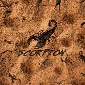Scorpion (Instrumental) (Instrumental)