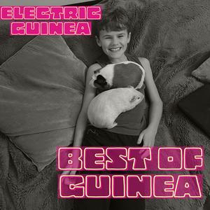 99 Guineas