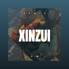 私人生活 (DJ版)