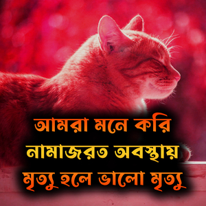 আমরা মনে করি নামাজরত অবস্থায়