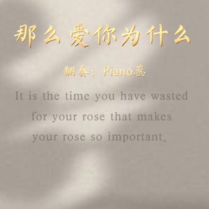 那么爱你为什么（钢琴版）