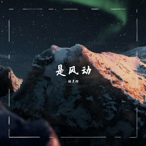 是风动（翻自 银临）
