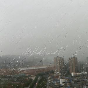Wild wind