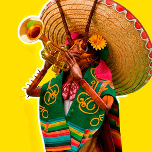 La Cucaracha (Remix)