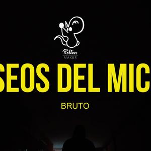Bruto